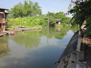 ภาพขยาย...