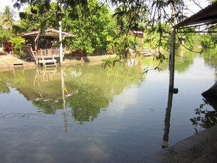ภาพขยาย...
